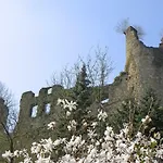 Hotel Les Dames De La Montagne Frauenberg