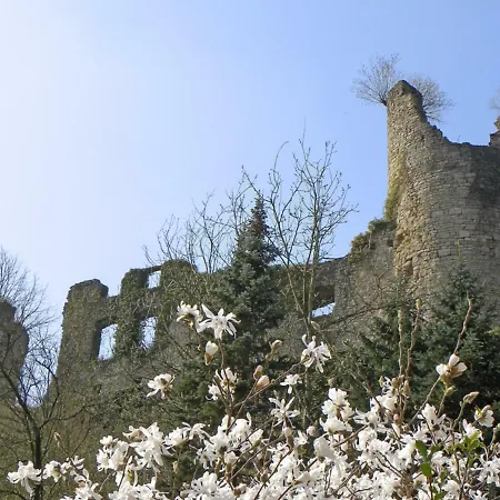 Hotel Les Dames De La Montagne Frauenberg