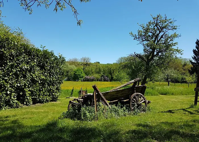 Les Dames De La Montagne Frauenberg